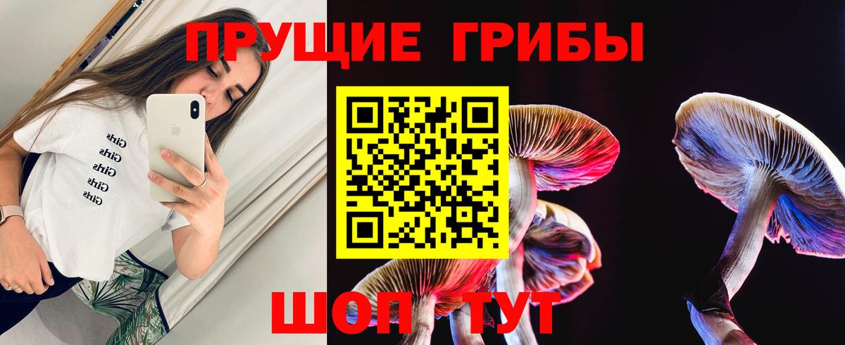 Псилоцибиновые грибы Psilocybe Мытищи